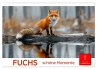 Fuchs - schöne Momente (Wandkalender... - Bild 1