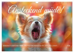 Ansteckend müde! (Wandkalender 2026 DIN A3 quer), CALVENDO Monatskalender