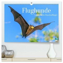 Cover Flughunde: Vegetarische Drachenflieger (hochwertiger Premium Wandkalender 2026 DIN A2 quer), Kunstdruck in Hochglanz