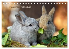 Flauschige Fellknäuel (Tischkalender 2026 DIN A5 quer), CALVENDO Monatskalender Flauschige Fellknäuel (Tischkalender 2026 DIN A5 quer), CALVENDO Monatskalender