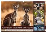 Australiens faszinierende Fauna... - Bild 1