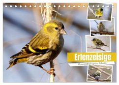 Cover Erlenzeisige (Tischkalender 2026 DIN A5 quer), CALVENDO Monatskalender