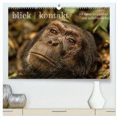 blick kontakt mit tieren im östlichen und südlichen afrika (hochwertiger Premium Wandkalender 2026 DIN A2 quer), Kunstdruck in Hochglanz