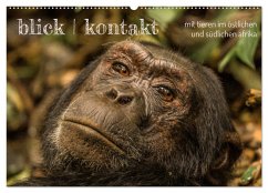 blick kontakt mit tieren im östlichen und südlichen afrika (Wandkalender 2026 DIN A2 quer), CALVENDO Monatskalender blick kontakt mit tieren im östlichen und südlichen afrika (Wandkalender 2026 DIN A2 quer), CALVENDO Monatskalender