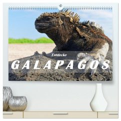 Entdecke Galapagos (hochwertiger Premium Wandkalender 2026 DIN A2 quer), Kunstdruck in Hochglanz