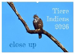 Cover Tiere Indiens close up (Wandkalender 2026 DIN A2 quer), CALVENDO Monatskalender