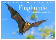 Cover Flughunde: Vegetarische Drachenflieger (Wandkalender 2026 DIN A4 quer), CALVENDO Monatskalender