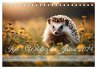 Igel - Wildtier des Jahres 2024... - Bild 1