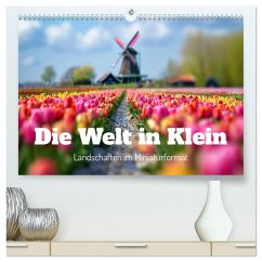 Die Welt in Klein (hochwertiger Premium Wandkalender 2026 DIN A2 quer), Kunstdruck in Hochglanz