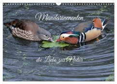 Mandarinenenten, die Liebe zur Natur (Wandkalender 2026 DIN A3 quer), CALVENDO Monatskalender