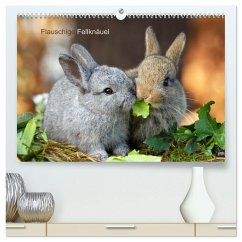 Flauschige Fellknäuel (hochwertiger Premium Wandkalender 2026 DIN A2 quer), Kunstdruck in Hochglanz Flauschige Fellknäuel (hochwertiger Premium Wandkalender 2026 DIN A2 quer), Kunstdruck in Hochglanz