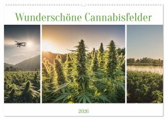 Wunderschöne Cannabisfelder (Wandkalender 2026 DIN A2 quer), CALVENDO Monatskalender