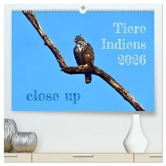 Cover Tiere Indiens close up (hochwertiger Premium Wandkalender 2026 DIN A2 quer), Kunstdruck in Hochglanz