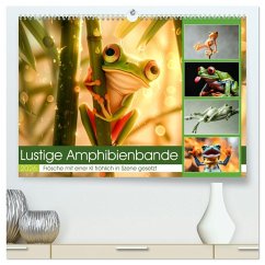 Cover Lustige Amphibienbande (hochwertiger Premium Wandkalender 2026 DIN A2 quer), Kunstdruck in Hochglanz