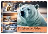 Eisbären im Fokus (Wandkalender 2026... - Bild 1