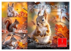 Cover Eichhörnchen - tollkühne Kletterer (Wandkalender 2026 DIN A2 quer), CALVENDO Monatskalender