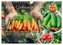 Cover Mein Gemüsegarten - Ein Jahr knackig frisches Gemüse (Wandkalender 2026 DIN A4 quer), CALVENDO Monatskalender