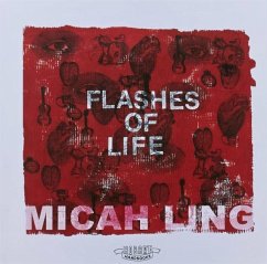Cover Flashes Of Life