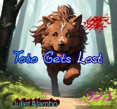 Cover Toto Gets Lost (eBook, ePUB)