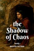The shadow of chaos