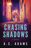 Chasing Shadows Chasing Shadows