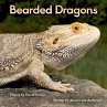 Bearded Dragons - Bild 1