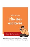 Réussir son Bac de français 2025 : Analyse de la pièce L'Île des esclaves de Marivaux Réussir son Bac de français 2025 : Analyse de la pièce L'Île des esclaves de Marivaux