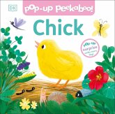 Pop-Up Peekaboo! Chick Pop-Up Peekaboo! Chick