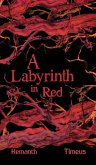 A Labyrinth in Red