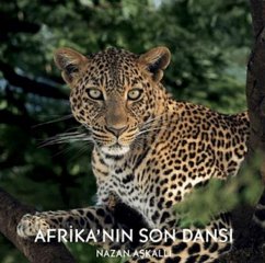 Afrikanin Son Dansi Ciltli Cover Afrikanin Son Dansi Ciltli