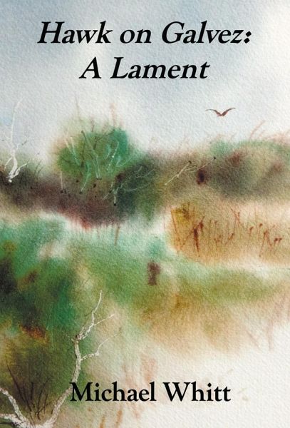 Hawk on Galvez