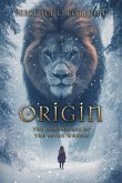 Origin Origin