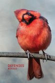 Defenses Defenses