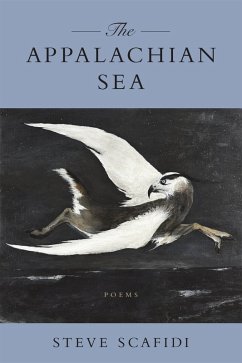 Cover The Appalachian Sea (eBook, ePUB)