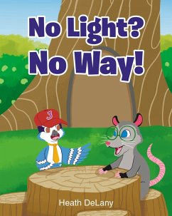 Cover No Light? No Way! (eBook, ePUB)