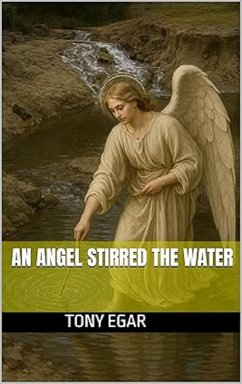 Cover An Angel Stirred the Water (eBook, ePUB)