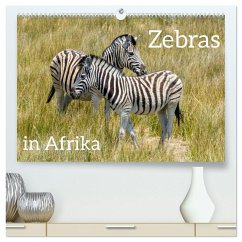 Cover Zebras in Afrika (hochwertiger Premium Wandkalender 2026 DIN A2 quer), Kunstdruck in Hochglanz