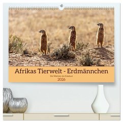 Afrikas Tierwelt - Erdmännchen (hochwertiger Premium Wandkalender 2026 DIN A2 quer), Kunstdruck in Hochglanz Afrikas Tierwelt - Erdmännchen (hochwertiger Premium Wandkalender 2026 DIN A2 quer), Kunstdruck in Hochglanz