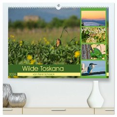Cover Wilde Toskana - von René Schaack (hochwertiger Premium Wandkalender 2026 DIN A2 quer), Kunstdruck in Hochglanz