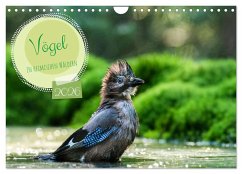 Vögel in heimischen Wäldern (Wandkalender 2026 DIN A4 quer), CALVENDO Monatskalender Vögel in heimischen Wäldern (Wandkalender 2026 DIN A4 quer), CALVENDO Monatskalender