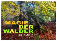 Cover Magie der Wälder Britanniens (Wandkalender 2026 DIN A2 quer), CALVENDO Monatskalender