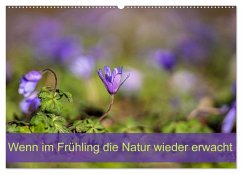 Cover Wenn im Frühling die Natur wieder erwacht (Wandkalender 2026 DIN A2 quer), CALVENDO Monatskalender
