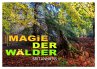 Magie der Wälder Britanniens... - Bild 1