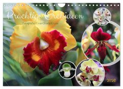 Prächtige Orchideen (Wandkalender 2026 DIN A4 quer), CALVENDO Monatskalender