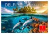 Delfine - schlaue Jäger (Wandkalender... - Bild 1
