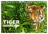 Tiger: Gestreifte Jäger (Tischkalender... - Bild 1