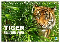 Cover Tiger: Gestreifte Jäger (Tischkalender 2026 DIN A5 quer), CALVENDO Monatskalender