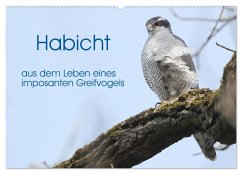 Habicht - aus dem Leben eines imposanten Greifvogels (Wandkalender 2026 DIN A2 quer), CALVENDO Monatskalender Habicht - aus dem Leben eines imposanten Greifvogels (Wandkalender 2026 DIN A2 quer), CALVENDO Monatskalender