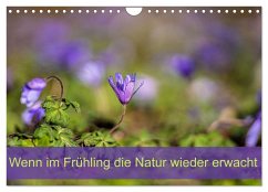 Cover Wenn im Frühling die Natur wieder erwacht (Wandkalender 2026 DIN A4 quer), CALVENDO Monatskalender