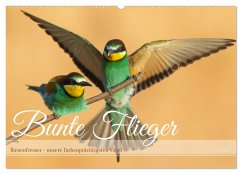 Cover Bunte Flieger (Wandkalender 2026 DIN A2 quer), CALVENDO Monatskalender